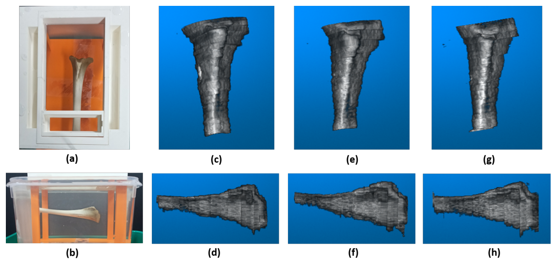 Ex-vivo results. Two photographs of a goat tibia positioned in the water bath, and six rendered reconstructions of the bone: three front views and three side views, one pair from each of the three repeated experiments.