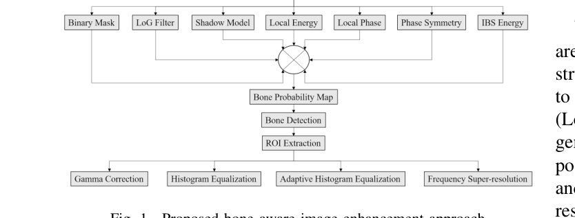 BPM generation stages: shadow map, local energy, local phase, feature symmetry, IBS map, bone probability map