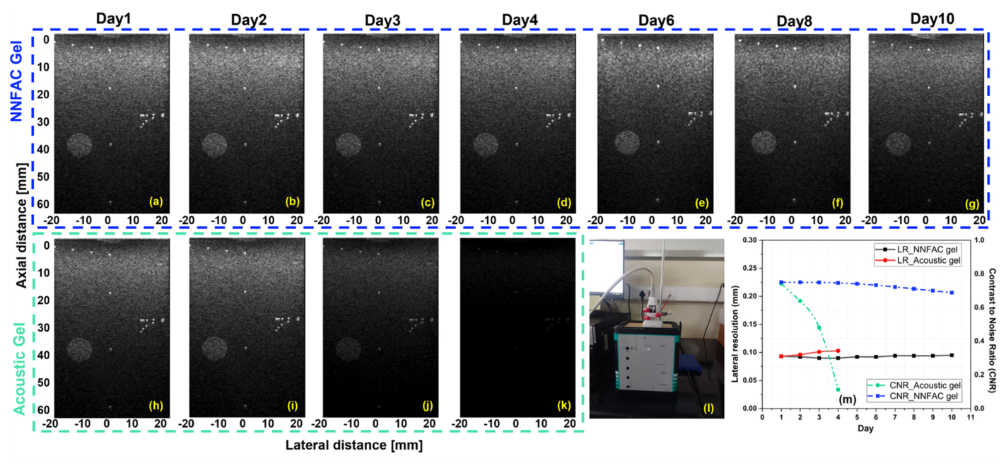 Two rows of B-mode phantom images taken over ten days. The top row with the non-Newtonian gel spans days one to ten. The bottom row with conventional acoustic gel goes dark after day four.