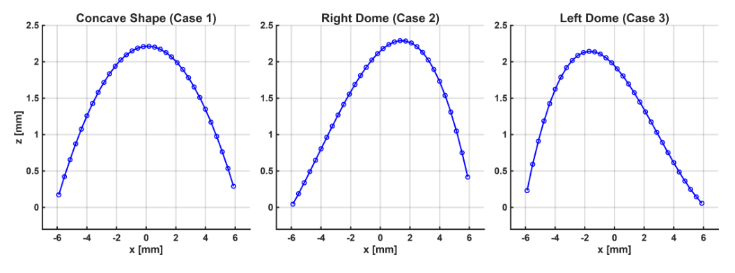 Three simulated flexible probe geometries plotted as elevation against lateral position: concave, right dome and left dome curvature profiles.