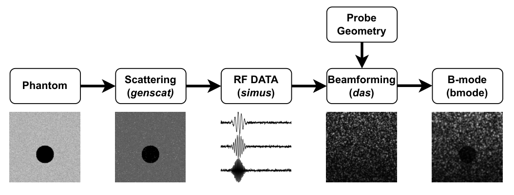 Dataset generation pipeline: phantom, scattering via genscat, RF data via simus, beamforming via DAS informed by probe geometry, and B-mode output.