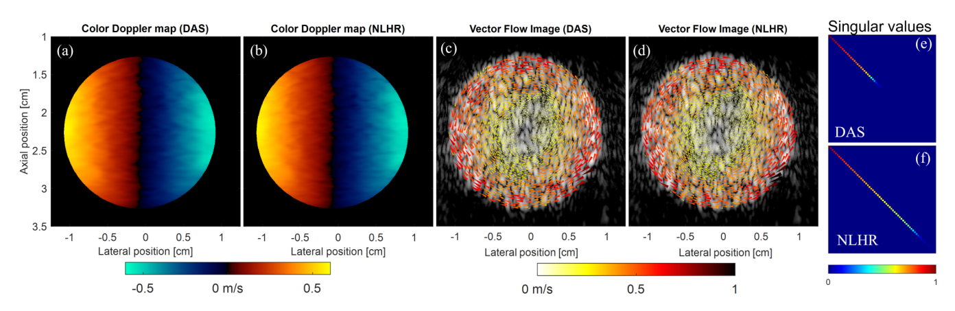 Colour Doppler maps and vector flow images of a rotating disk for DAS and NLHR beamforming, with singular value plots