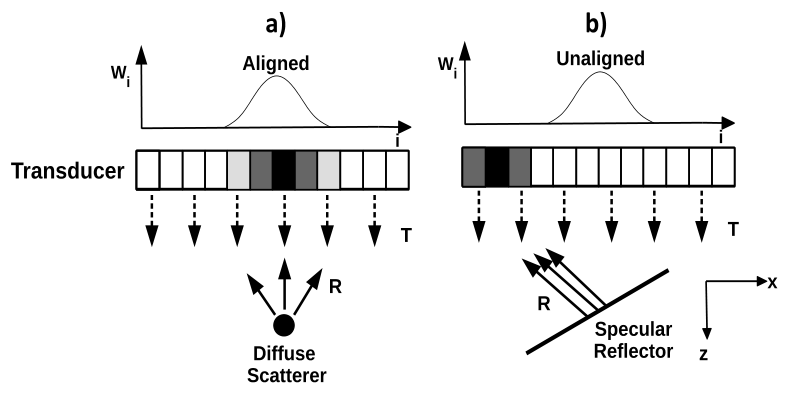 Receive apodization aligned with the return of a diffuse scatterer and unaligned with the directive return of a specular reflector.