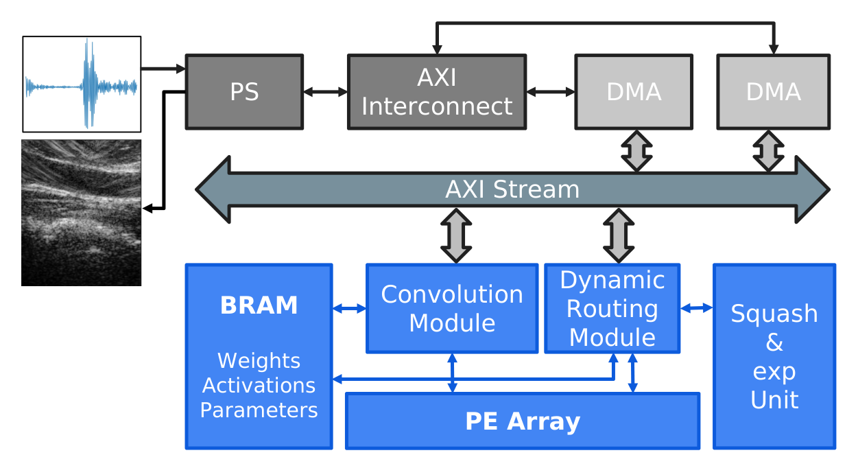 Architecture of the CapsBeam accelerator: a processing system block connects through an AXI interconnect and two DMA units to an AXI stream, which feeds a block RAM holding weights, activations and parameters, a convolution module, a dynamic routing module, a processing element array, and a squash and exponential unit. Raw radio frequency data enters at one end and a B-mode image leaves at the other.