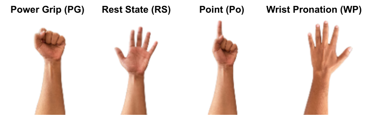 The four hand gestures used in this work: power grip, rest state, point and wrist pronation.